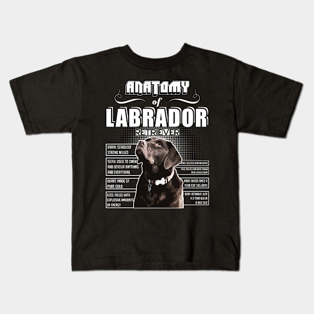 Anatomy of Labrador Retriever Kids T-Shirt by jhay_41